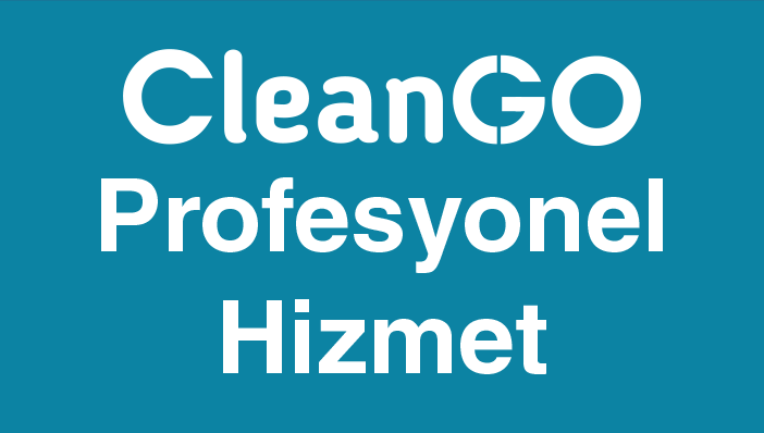 Profesyonel Hizmet